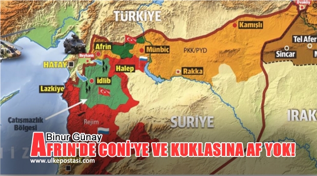 Afrin'de coni'ye ve kuklasına af yok | Binnur Günay