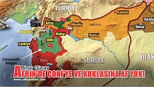 Afrin'de coni'ye ve kuklasına af yok | Binnur Günay