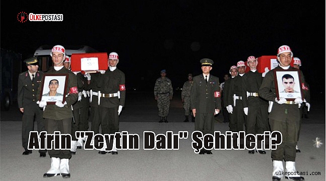 Afrin ''Zeytin Dalı'' Şehitleri?