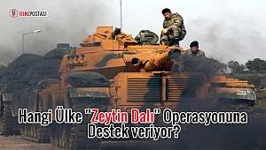 Hangi Ülke ''Zeytin Dalı'' Operasyonuna destek veriyor?