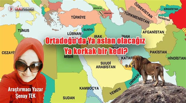 Ortadoğu'da Ya aslan olacağız Ya korkak bir kedi?