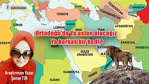 Ortadoğu'da Ya aslan olacağız Ya korkak bir kedi?