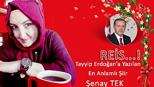 REİS...!