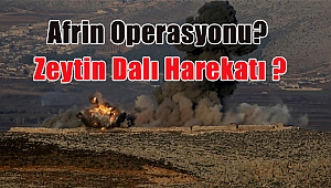 Zeytin Dalı Harekatı Afrin Operasyonu?