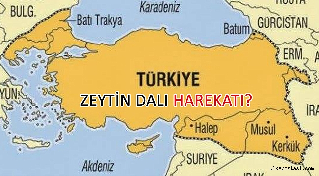 ZEYTİN DALI HAREKATI?