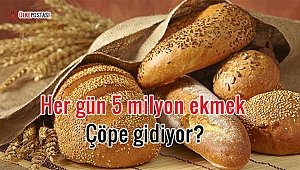 Her gün 5 milyon ekmek çöpe gidiyor?