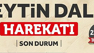 Zeytin Dalı Harekatı'nda Son Durum?