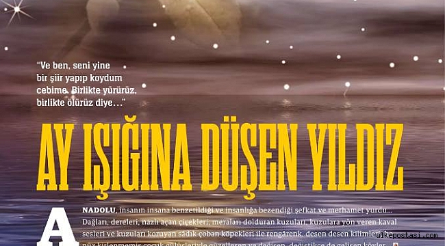 AY IŞIĞINA DÜŞEN YILDIZ.