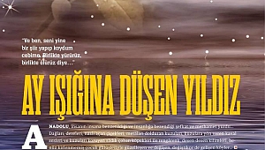 AY IŞIĞINA DÜŞEN YILDIZ.