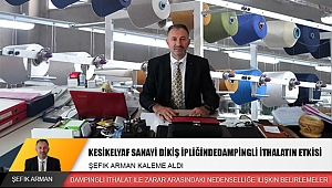 C) KESİKELYAF SANAYİ DİKİŞ İPLİĞİNDEDAMPİNGLİ İTHALATIN ETKİSİ