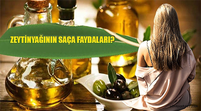 ZEYTİNYAĞININ SAÇA FAYDALARI?