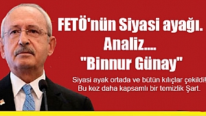 FETÖ'nün Siyasi ayağı. Analiz, ''Binnur Günay''?