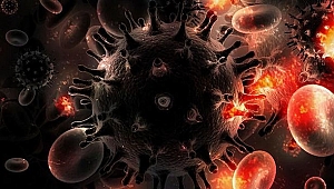 Koronavirüs Vücudumuzu Nasıl Hasta Eder? - Koronavirüs Belirtileri?