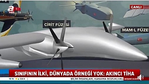Türk Silahlı Kuvvetleri'nin gökyüzündeki vurucu güçleri?