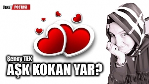 AŞK KOKAN YAR?