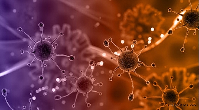 Koronavirüs vücudumuzu nasıl yayılıyor ve etkiliyor?