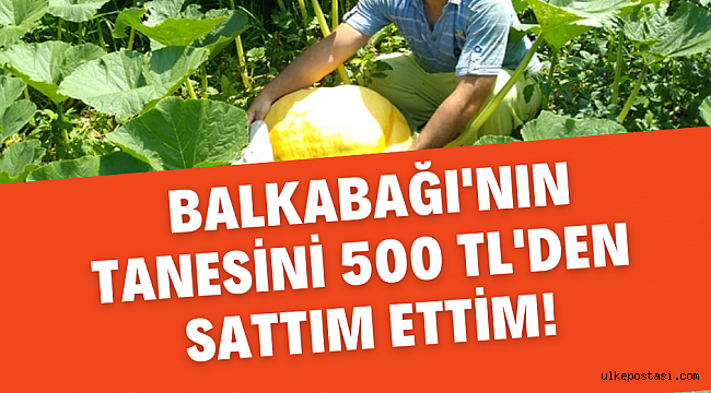 Halloween için kabağın tanesini 500 TL'den ihraç ediyor...