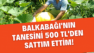 Halloween için kabağın tanesini 500 TL'den ihraç ediyor...