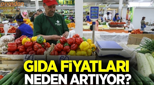 Gıda fiyatları neden artıyor?