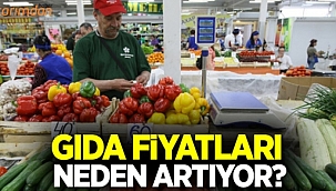 Gıda fiyatları neden artıyor?