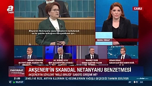 Akşener haddini aşmıştır!