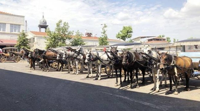 kayıp atlar Kuzey Irak'a gönderildi iddiası!