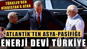 Türkiye'den Hindistan'a atak, Enerji devi Türkiye?