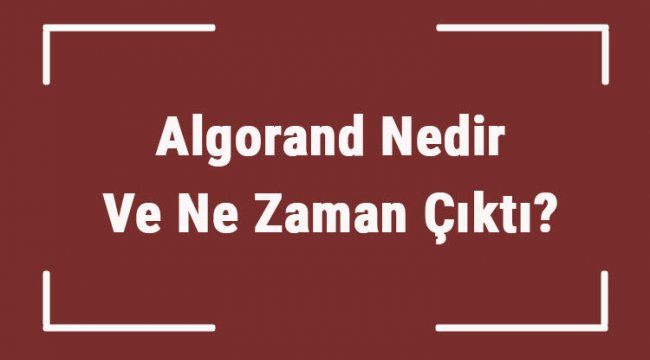 Algorand Nedir Ve Ne Zaman Çıktı? Algo Ne Demek? Kripto Para Algorand Coin Nasıl Alınır?