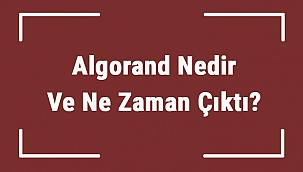 Algorand Nedir Ve Ne Zaman Çıktı? Algo Ne Demek? Kripto Para Algorand Coin Nasıl Alınır?