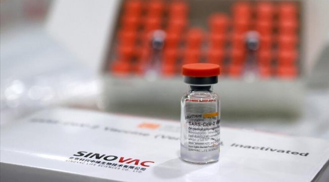Çin, Sinovac aşısının çocuklarda acil kullanımını onayladı
