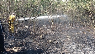 Bursa'daki orman yangını söndürüldü