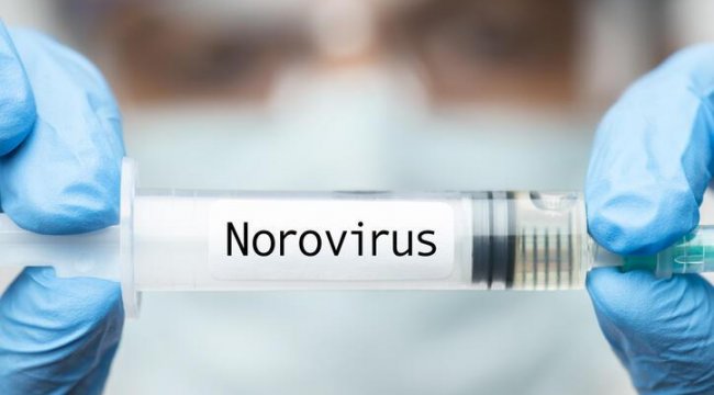 Norovirüs nedir, belirtileri nelerdir, nasıl geçer? İşte norovirüs 2021 özellikleri