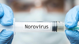 Norovirüs nedir, belirtileri nelerdir, nasıl geçer? İşte norovirüs 2021 özellikleri