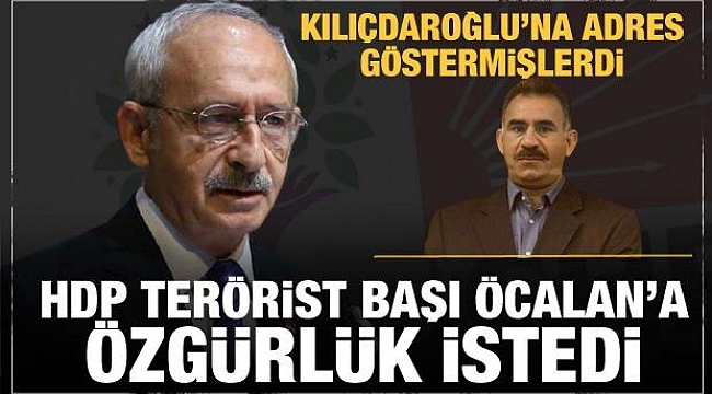 HDP'den terörist başı Öcalan'a özgürlük isteği!