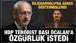 HDP'den terörist başı Öcalan'a özgürlük isteği!