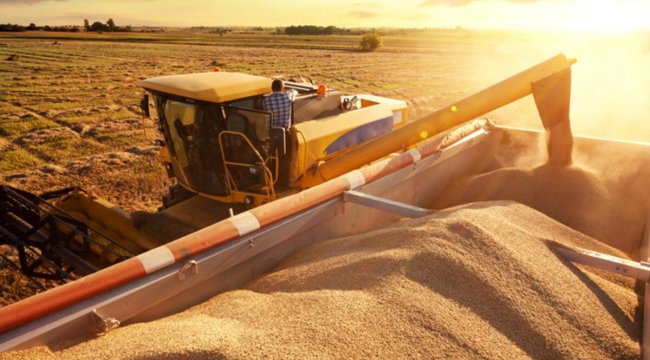 Ukrayna: "Batı ülkelerine tahıl ihracatı her ay yüzde 50 artıyor"