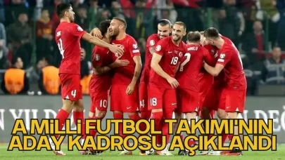 A Milli Futbol Takımı'nın aday kadrosu belli oldu