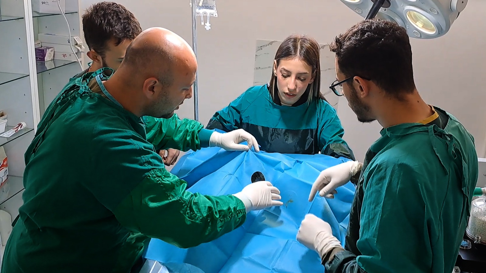 Sakarya da yaralı olarak bulunan puhu kuşu koruma altına alındı.
