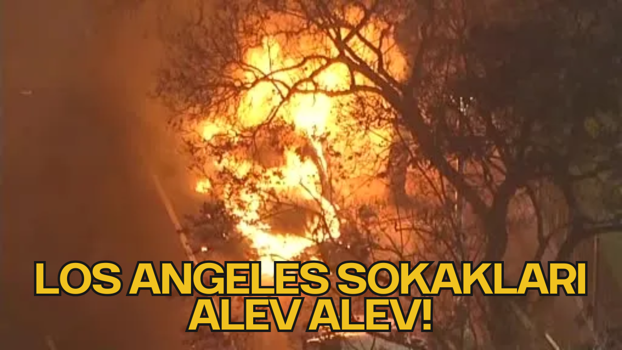 Los Angeles Sokakları Alev Alev!