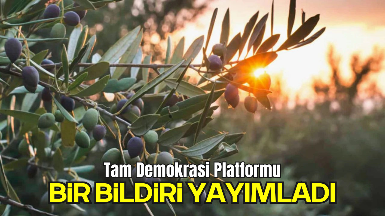 Tam Demokrasi Platformu Bir Bildiri Yayımladı