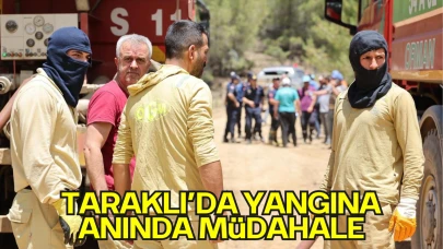 Taraklı’da Orman Yangınına Anında Müdahale! Vali Rahmi Doğan Bölgeye İntikal Etti, Müdahale Yerinde Koordine Ediliyor