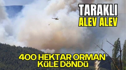 Yangın Felaketi: Taraklı’da Başlayan Alevler Gölpazarı’na Ulaştı! Yüzlerce Hektar Orman Kül Oldu