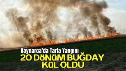 Kaynarca’da Tarla Yangını: 20 Dönüm Buğday Kül Oldu