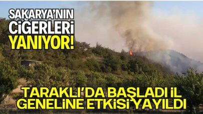 Sakarya’da Korkutan Yangın: Taraklı’da Başladı, İl Geneline Etkisi Yayıldı