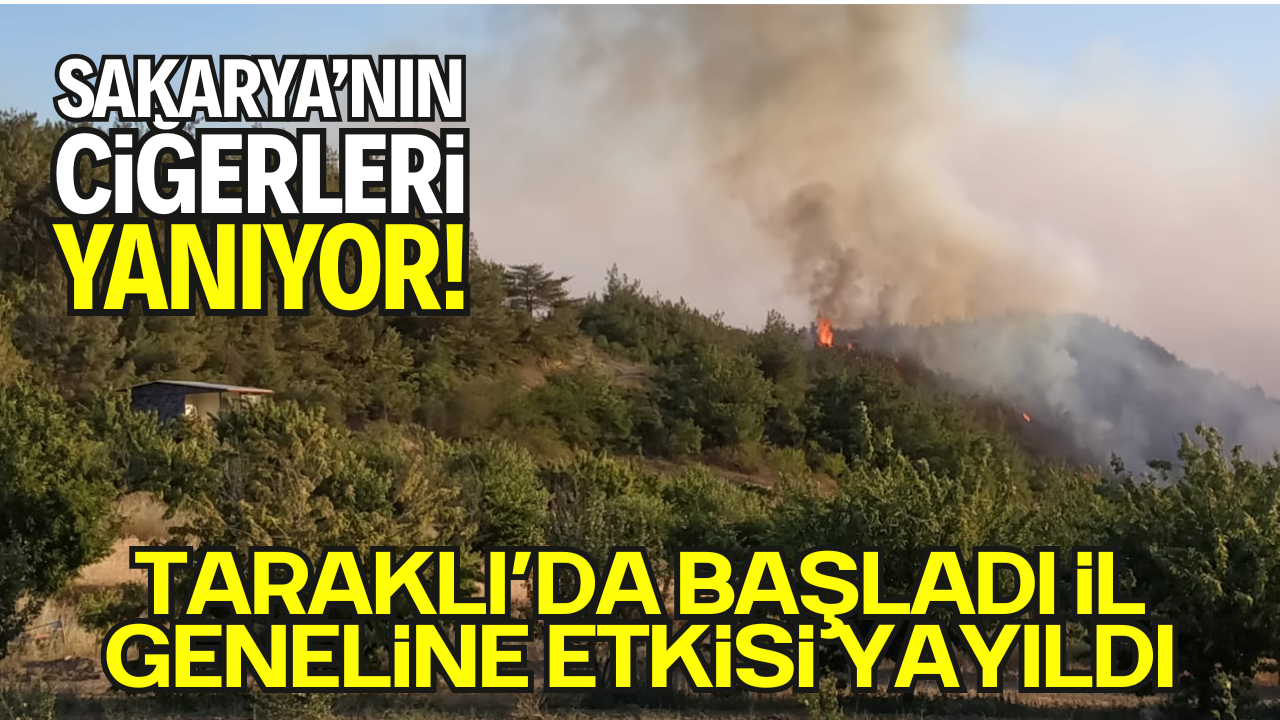 Sakarya’da Korkutan Yangın: Taraklı’da Başladı, İl Geneline Etkisi Yayıldı