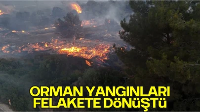 İzmir ve Antalya’daki Orman Yangınları Felakete Dönüştü: 2 Kişi Hayatını Kaybetti, Mahalleler Tahliye Edildi