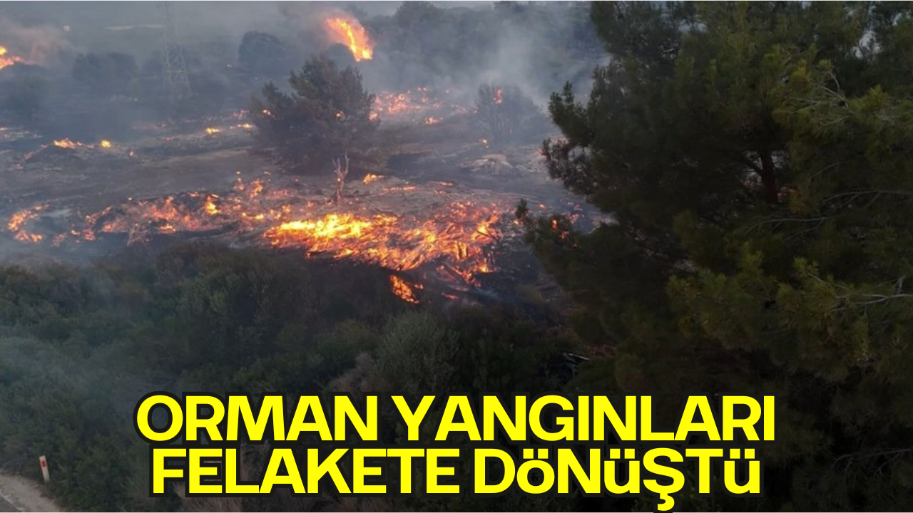İzmir ve Antalya’daki Orman Yangınları Felakete Dönüştü: 2 Kişi Hayatını Kaybetti, Mahalleler Tahliye Edildi