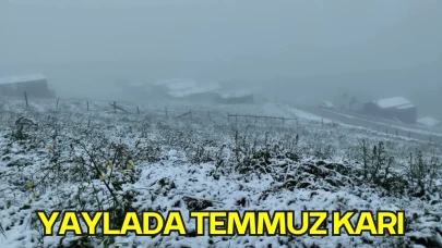 Yaylada Temmuz Karı: Ülke Postası Yazarı Hüseyin Ardıç Şekersu Yaylası’ndan Bildirdi
