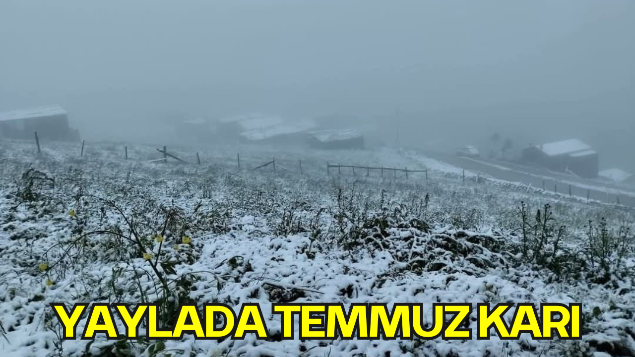 Yaylada Temmuz Karı: Ülke Postası Yazarı Hüseyin Ardıç Şekersu Yaylası’ndan Bildirdi