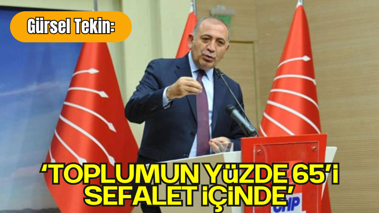 Gürsel Tekin: “Türkiye Derin Yoksulluğun Pençesinde”